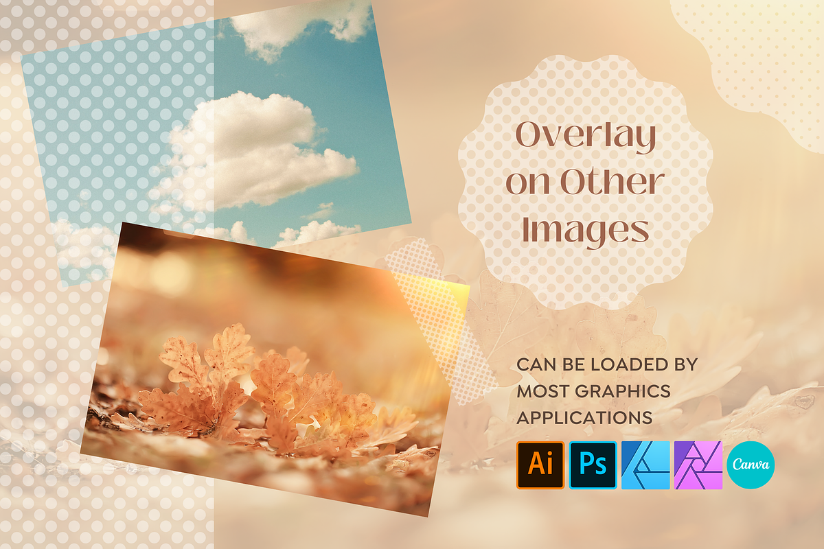 Polka Dot Translucent Photo Overlays, a Texture Graphic by Keikoya (Photo 3 of 10)