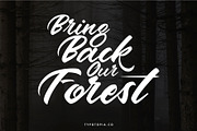 Andalas, a Script Font by edukka (Thumbnail 7 of 9)