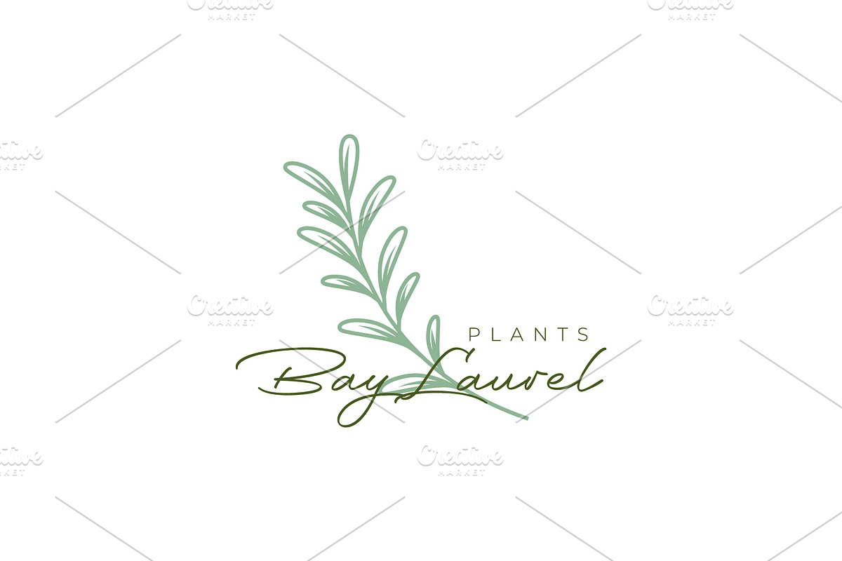 bay laurel plant feminine logo, a Branding & Logo Template by devastd