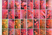 Cinematic Blur - Floral Backgrounds, a Background Graphic by lerinartstudio (Thumbnail 11 of 12)