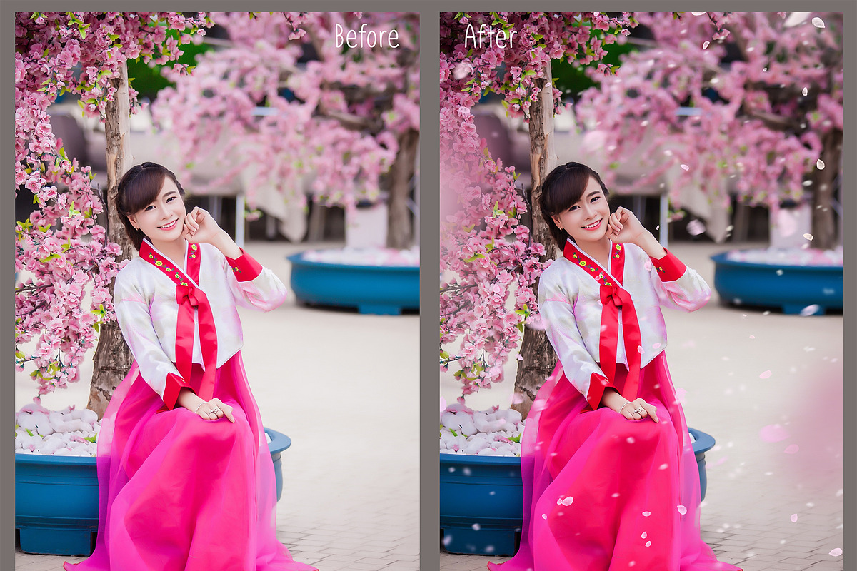 White and Pink Petals Overlays preview 3