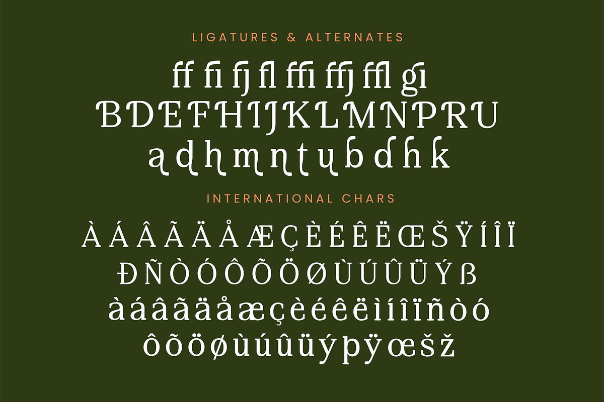 Regime Misfiles Serif Oldstyle Font, a Serif Font by Letterena Studios (Photo 14 of 15)