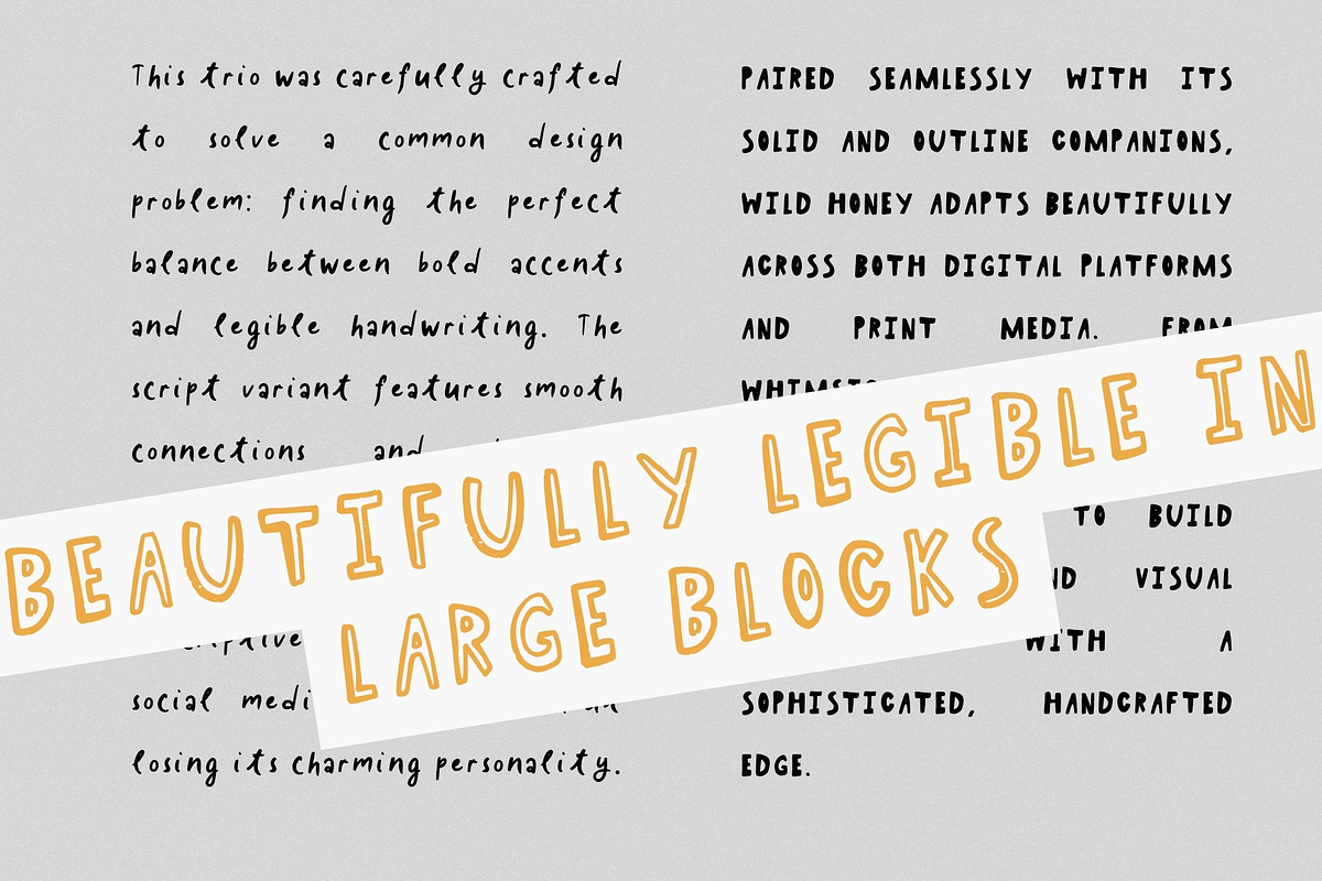 Wild Honey. Whimsical Font, a Handwritten Font by PaperJamLab (Photo 11 of 15)