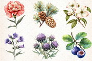 Vintage Botanical Clipart, an Illustration by Libby Wishes (Thumbnail 6 of 6)