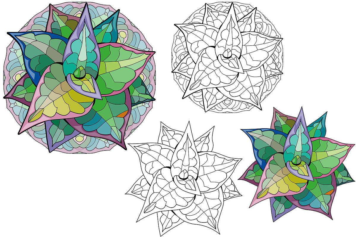 Succulents for coloring pages, a Decorative Illustration by Watercolor fantasy (Photo 2 of 13)