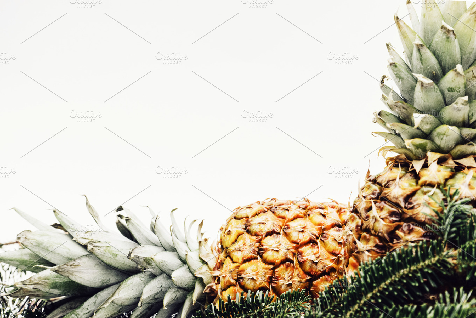 Festive pineapples stock photo containing pineapple and pineapples, a Holiday Photo by Pineapple Shop