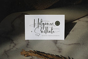 Michelyne Stylish Signature Font, a Script Font by stylishtype.co (Thumbnail 17 of 20)