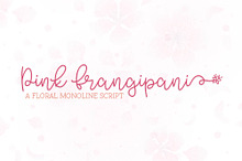 Pink Frangipani