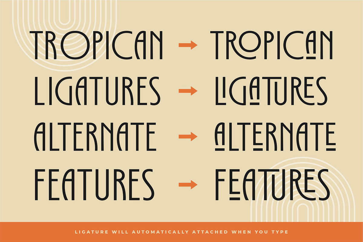 Tropican Display Sans, a Sans Serif Font by Letteralle Studios (Photo 6 of 10)