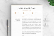 Resume/CV - The Louis, a Resume Template by CreativeLandStudio (Thumbnail 6 of 10)