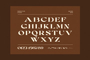 Mogen Serif Font, a Serif Font by Perfectype (Thumbnail 8 of 8)