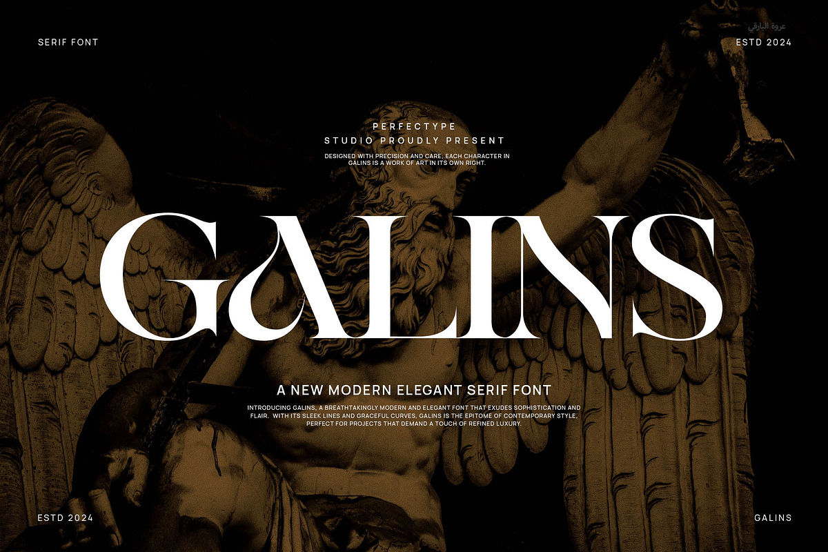 Galins Modern Serif Font, a Serif Font by Perfectype (Photo 1 of 8)