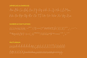 CS Mileya Dashed, a Script Font by Craft Supply Co. (Thumbnail 8 of 8)