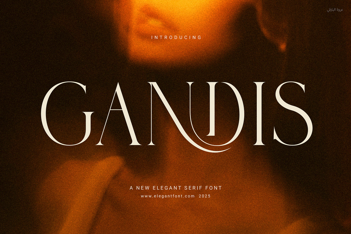 Gandis Elegant Serif Font, a Serif Font by Elegant Font (Photo 1 of 8)