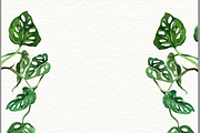Begonia Plant Border, an Invitation Template by water + colour (Thumbnail 1 of 2)
