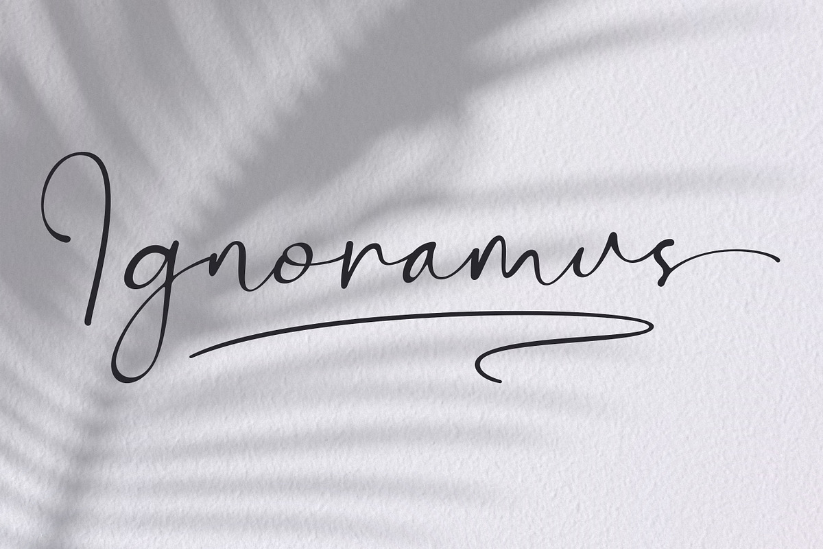 Bontana - Elegant Calligraphy Font, a Script Font by Flawless And Co (Photo 4 of 10)