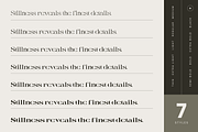 Alrays Bloom - Luxury Logo Font, a Serif Font by Nirmana Visual (Thumbnail 5 of 15)
