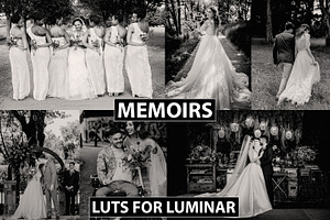 Black & White Looks Luminar LUTs