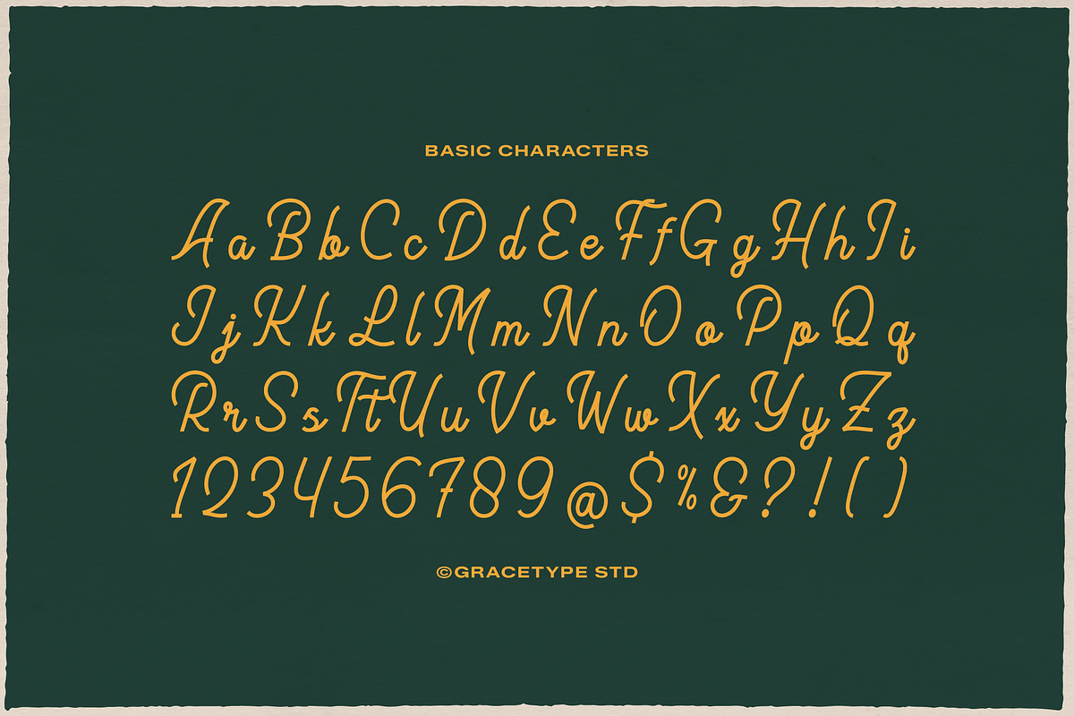 Meptora | Monoline Script, a Script Font by gracetype_studio (Photo 10 of 12)