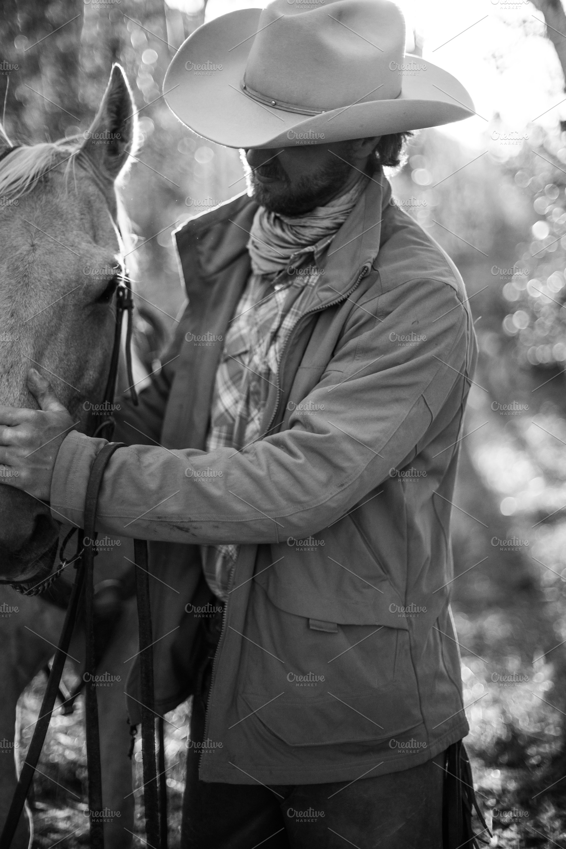 A Horse Named Tex, an Animal Photo by coloradocowgirl