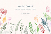 Wildflowers Procreate Stamps, a Brush Add-On by BohoCalligraphy (Thumbnail 1 of 9)