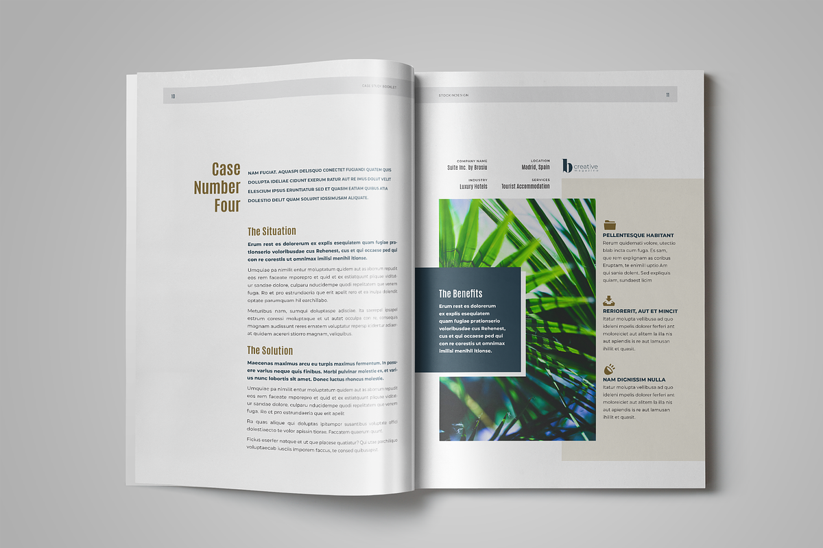 Case Study, a Templates & Theme by StockInDesign (Photo 5 of 8)