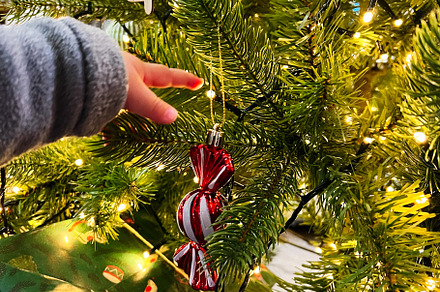 Child reaching for ornament on decorated Christmas tree, a Photo by AS photostudio