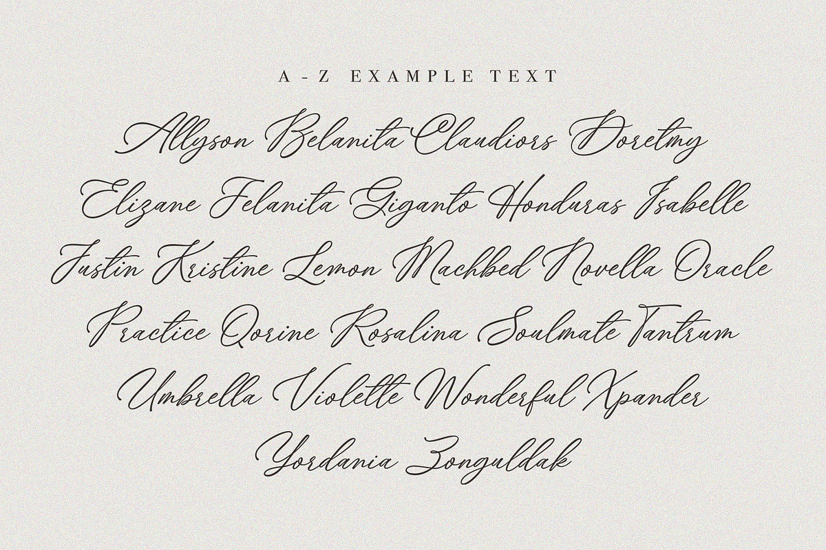Ms. Chelsea - Chic Calligraphy Font, a Script Font by Subectype Studio (Photo 7 of 9)
