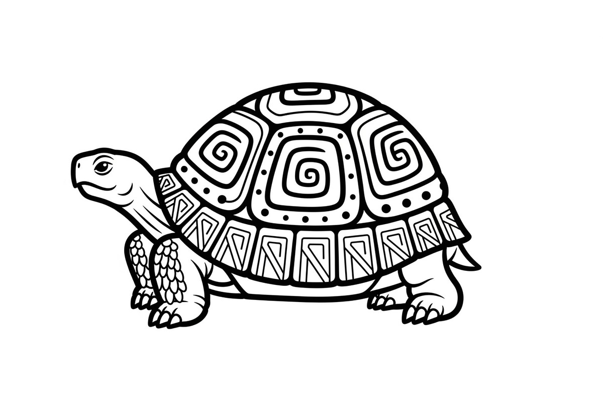 Turtle Line Art Illustration Bundle, an Illustration by Creativeshirt (Photo 12 of 48)