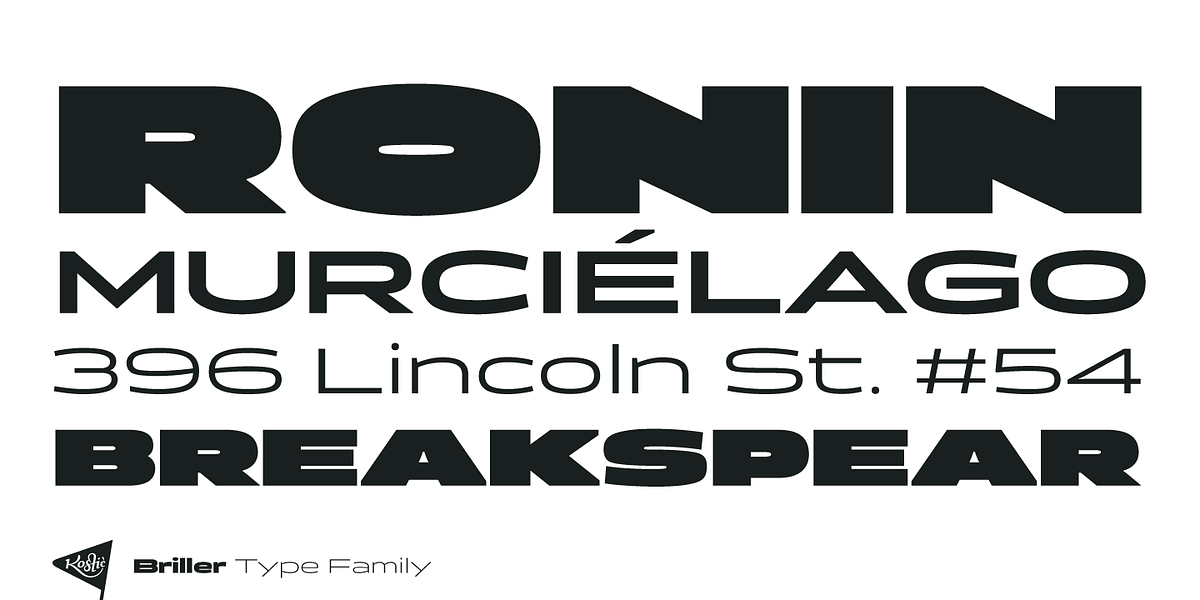 Briller, a Sans Serif Font by Kostic Type Foundry (Photo 2 of 7)