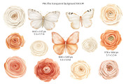 Everbloom Floral Collection, a Decorative Illustration by Anna Druzhkova (Thumbnail 7 of 22)