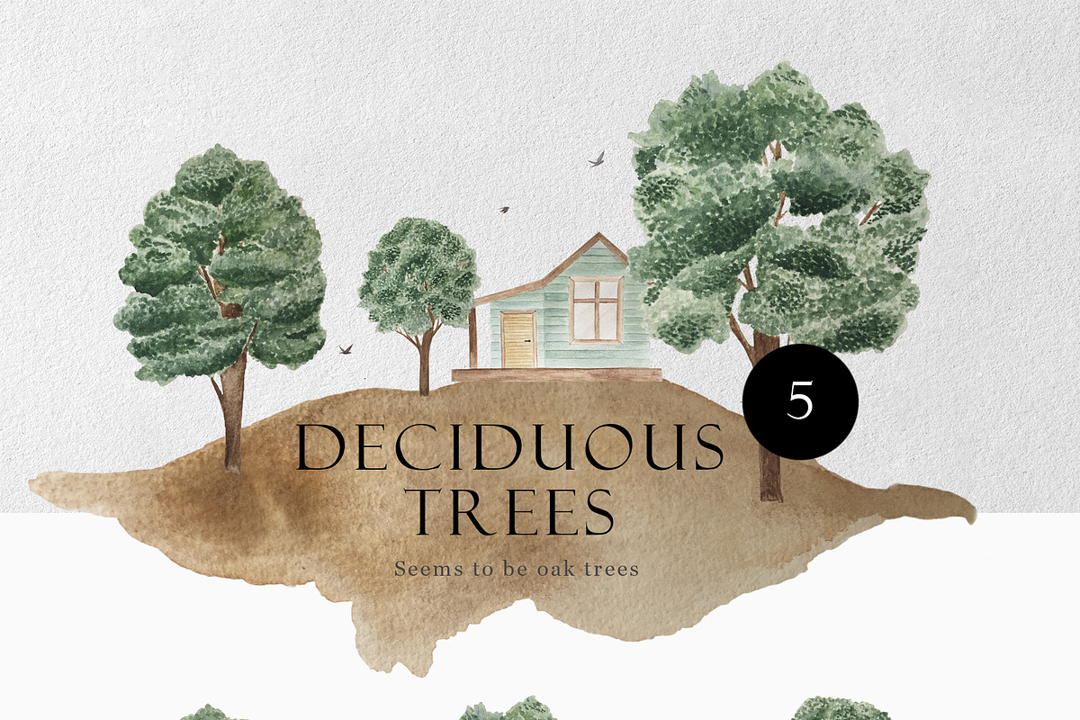 Shed in a Woods, an Illustration by Letters-Shmetters (Photo 4 of 8)