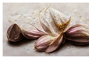Deli (2) Collection · Textured Bloom, a Decorative Illustration by milatovar (Thumbnail 12 of 16)