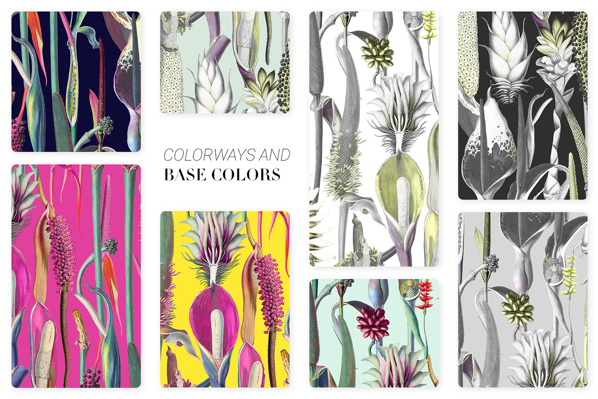 Montage, Luxury Patterns & Motifs, a Pattern Graphic by Pink Linen (Photo 2 of 14)