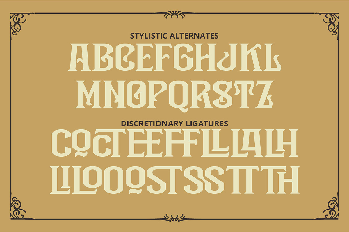 Black Holist, a Symbol Font by Vintage Division (Photo 13 of 15)