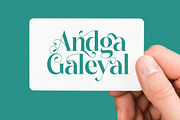 Dudga Baloval Elegant Serif Font, a Serif Font by timelesstype.co (Thumbnail 7 of 20)