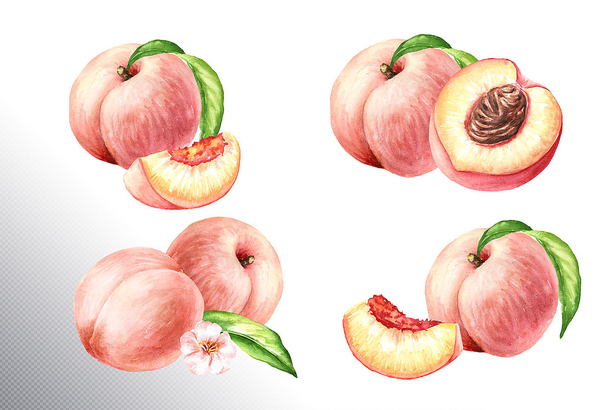 Ripe Peaches. Watercolor set, a Food Illustration by Daria Ustiugova (Photo 4 of 23)