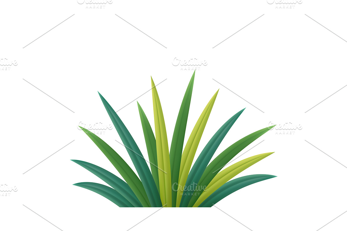 3d Tropical Plant Leaves Isolated on, an Object Illustration by ModVector