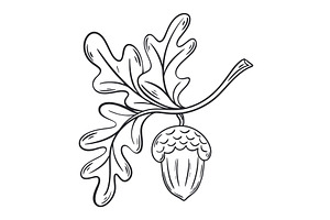 Acorn on branch with leaves sketch, an Object Illustration by Tati_Kli