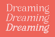 Andaman an Experimental Serif Font, a Serif Font by Lettertype Studio (Thumbnail 3 of 15)