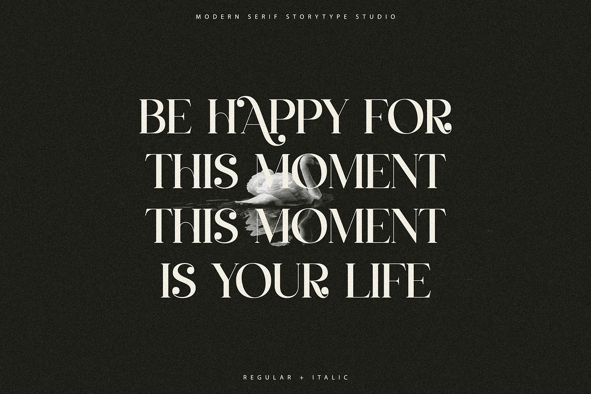 Qelrage Modern Serif Font, a Serif Font by Storytype Studio (Photo 4 of 15)
