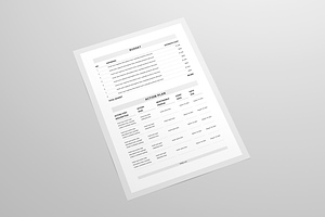 Sales Plan MS Word & Indesign