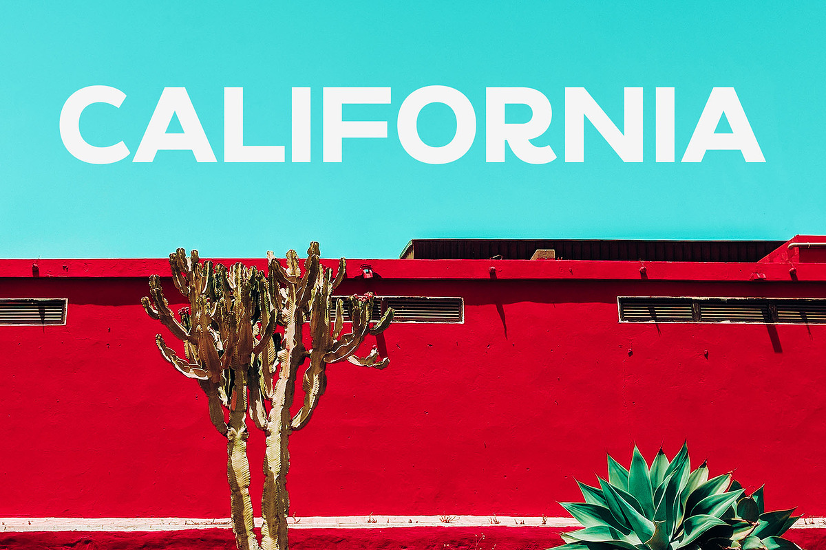Walkins - Modern Sans Serif, a Sans Serif Font by Typeformers (Photo 4 of 5)