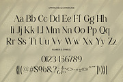 Dobagi – Elegant Modern Serif Font, a Serif Font by roomspace creative lab (Thumbnail 6 of 12)