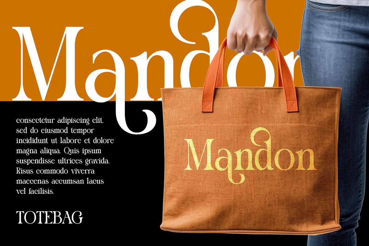 Michale Modern Serif Typeface, a Serif Font by Alfinart (Photo 6 of 10)