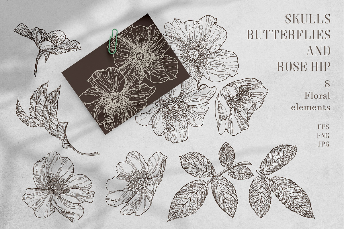 SKULLS, BUTTERFLIES AND ROSE HIP, a Texture Illustration by LanaDzi (Photo 12 of 12)