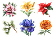 Watercolor Christmas Floral Clipart, an Illustration by Daily.Designs (Thumbnail 3 of 5)