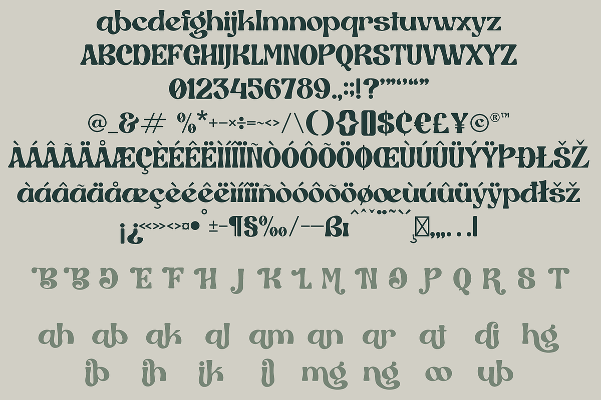Bibalgo | Stylistic Retro Serif Font, a Serif Font by MchCrafter (Photo 11 of 11)