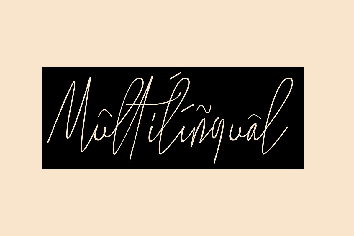 The Standing Still, a Script Font by Gittype (Photo 2 of 12)