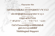 Cottage - Stylish Serif Font, a Serif Font by Aqeel_Art (Thumbnail 8 of 8)